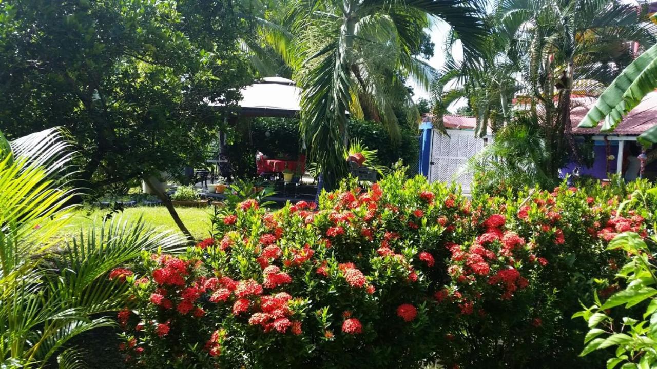 Posada Nativa Licy San Andrés Extérieur photo