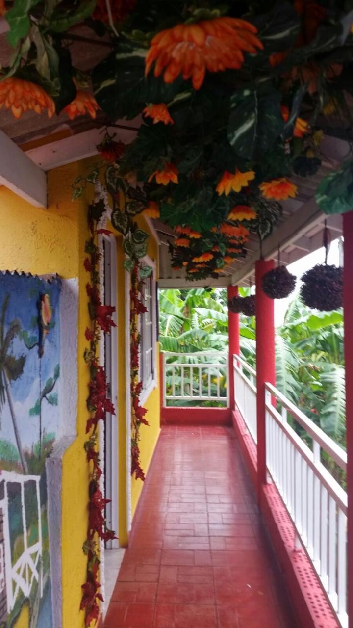 Posada Nativa Licy San Andrés Extérieur photo